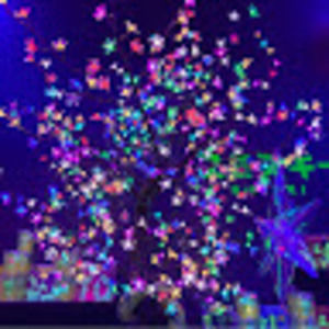 Meet your Posher, Sophia